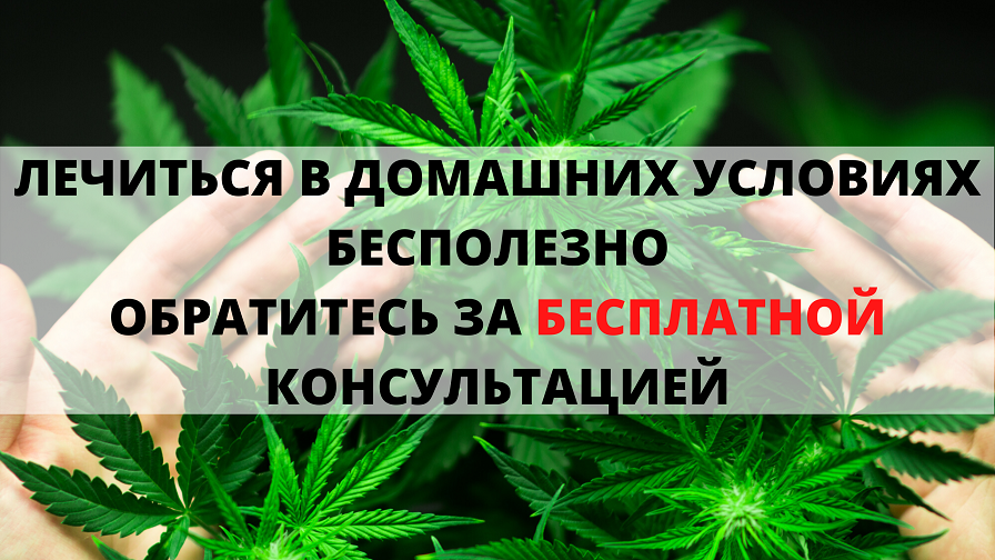 Чем можно вылечить от марихуаны сколько конопли можно хранить украина