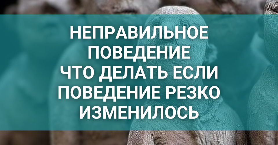 Что делать, если у подростка нет друзей? Советы психолога