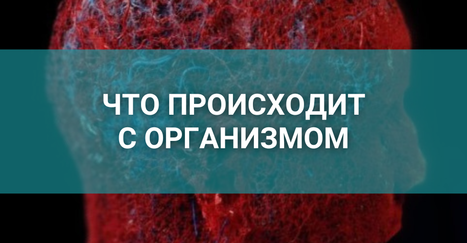 организм после отказа от курения.png