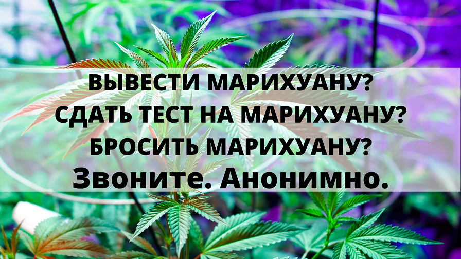 Почему после марихуаны хочется кушать наказание предусмотренное за употребление марихуаны