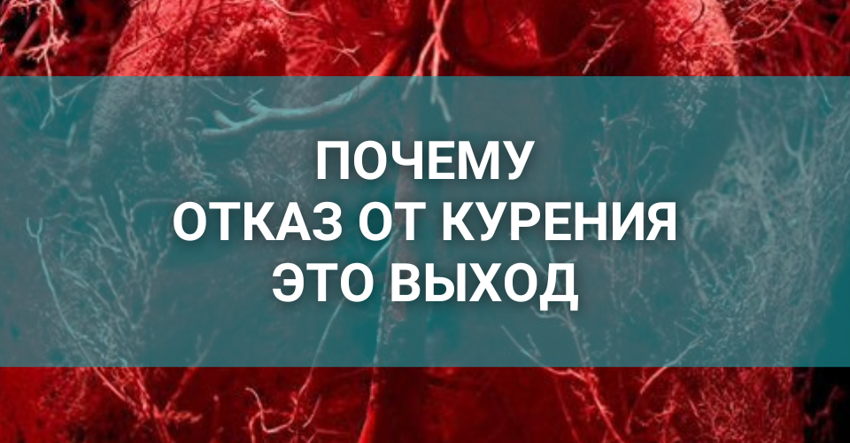 отказ от курения что происходит с организмом.png