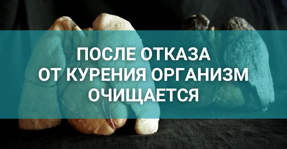 как восстанавливаться после отказа от курения.png